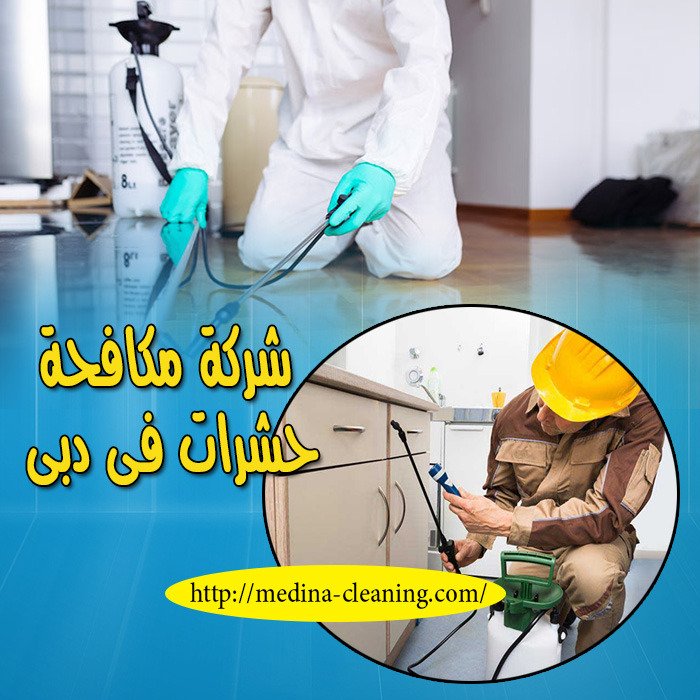 شركة مكافحة الحشرات فى دبى